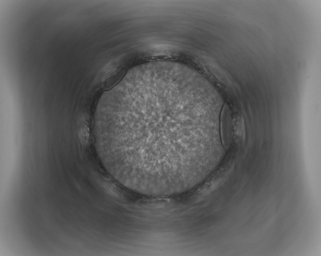 X0000111590916200907301423