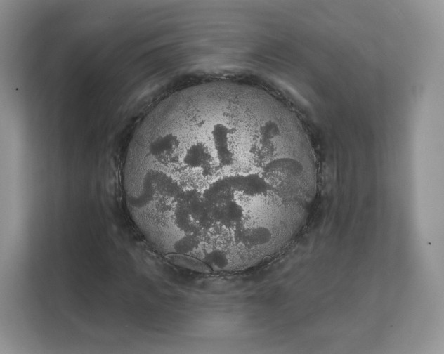 X0000111590917200907301423