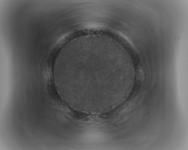 X0000111590918200907301423