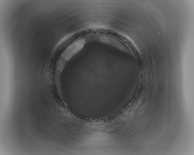 X0000111590919200907301423