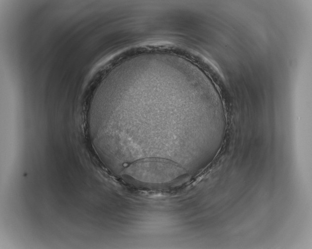 X0000111590920200907301423