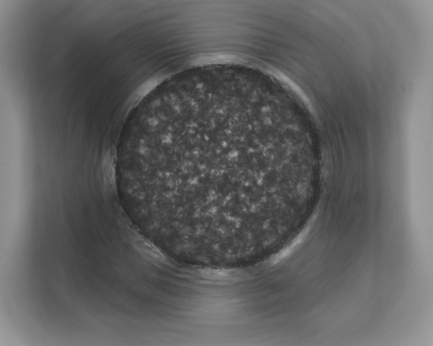 X0000111590921200907301423