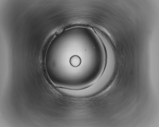 X0000111590922200907301423