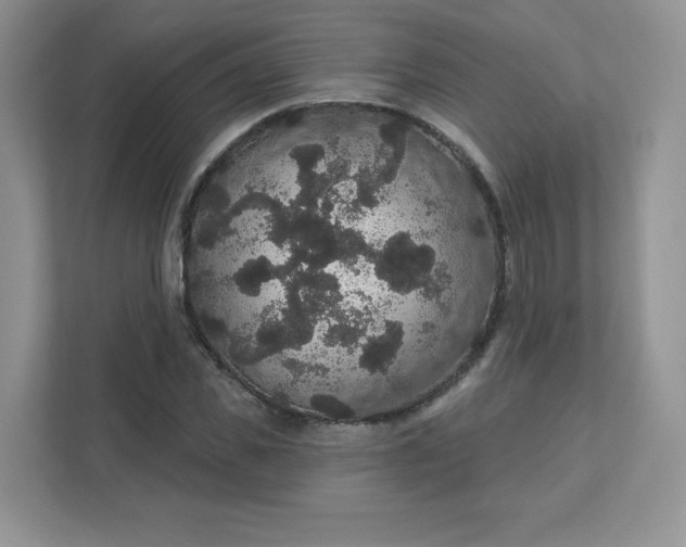 X0000111590925200907301423