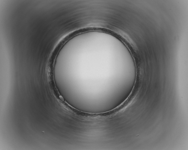 X0000111590926200907301423