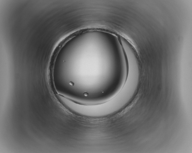 X0000111590928200907301423