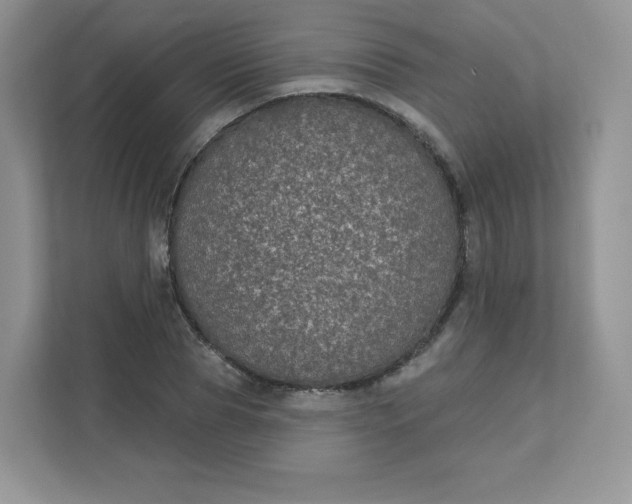 X0000111590929200907301423