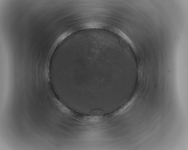 X0000111590930200907301423