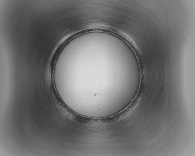 X0000111590931200907301423