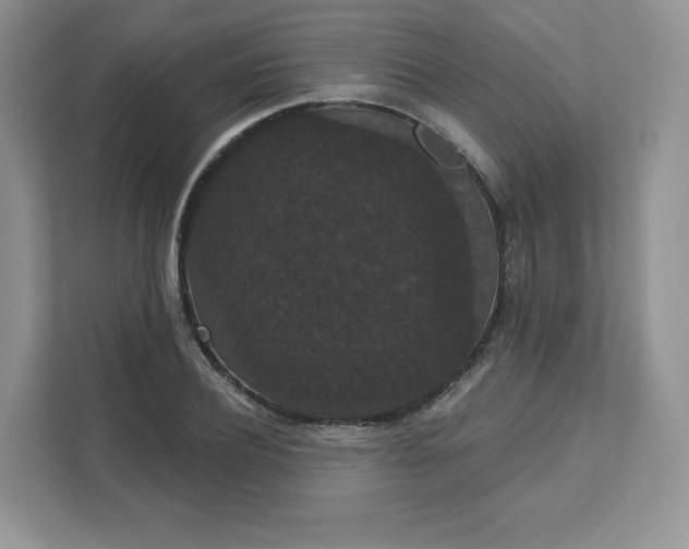 X0000111590932200907301423