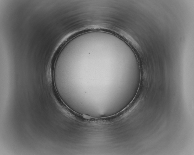 X0000111590934200907301423