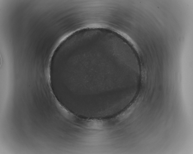 X0000111590935200907301423