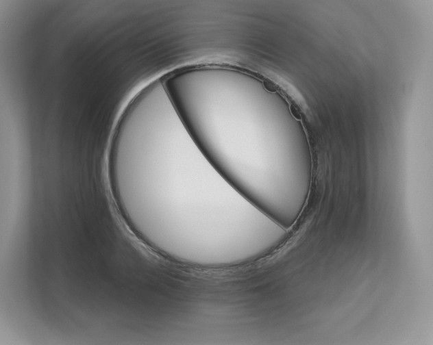 X0000111590936200907301423