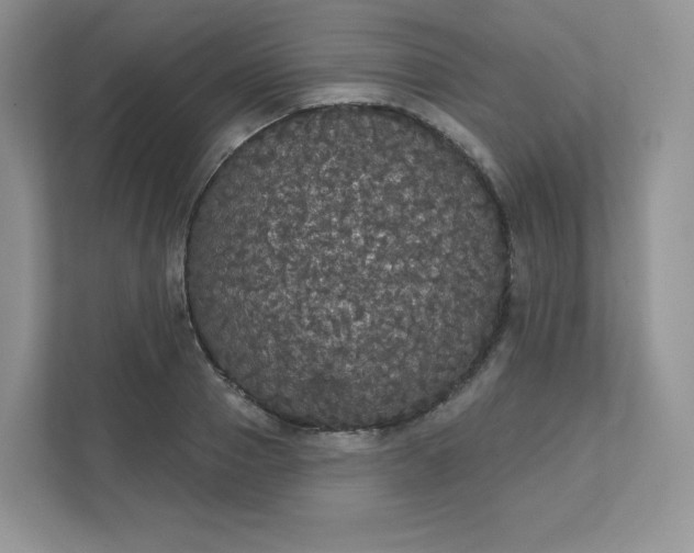 X0000111590937200907301423