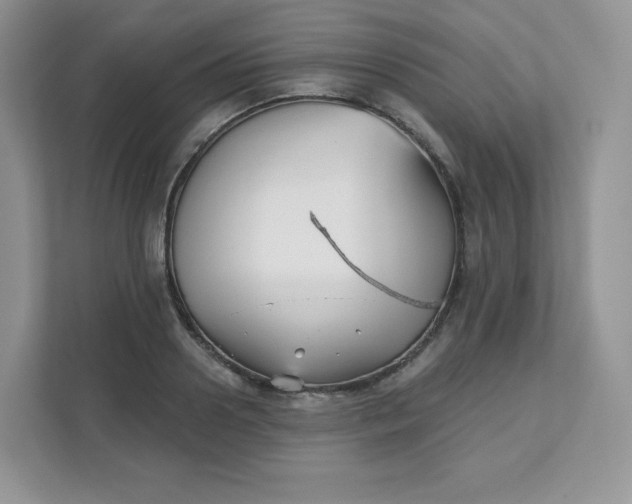 X0000111590938200907301423