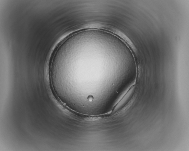 X0000111590939200907301423