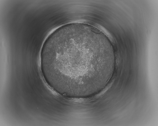 X0000111590940200907301423