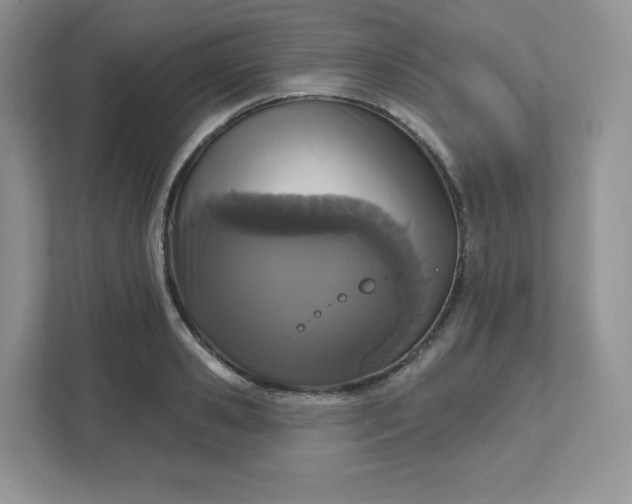 X0000111590941200907301423