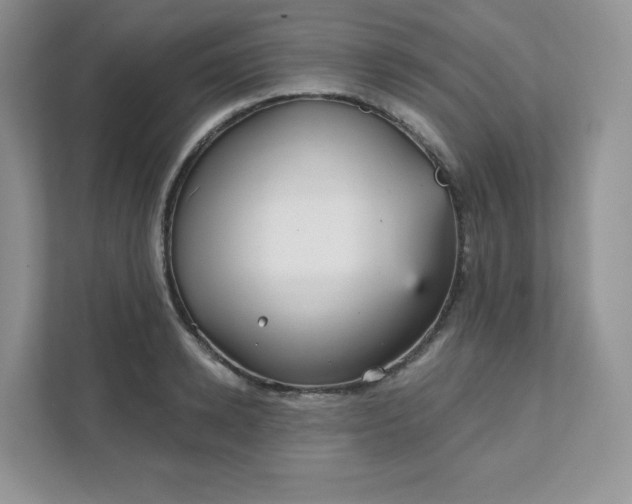 X0000111590942200907301423