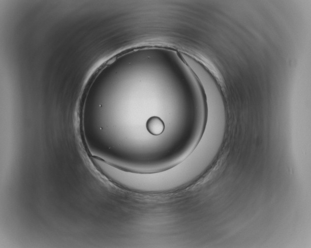 X0000111590944200907301423