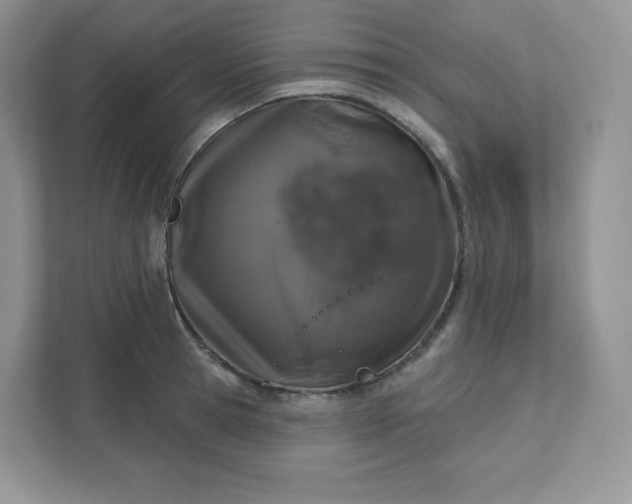 X0000111590945200907301423