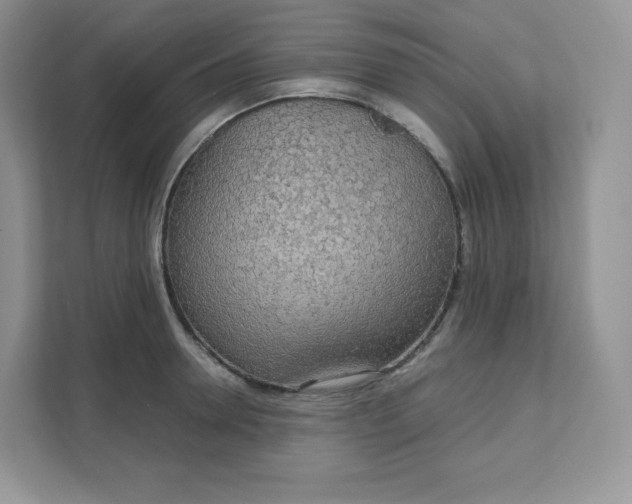 X0000111590946200907301423