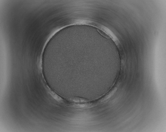 X0000111590948200907301423