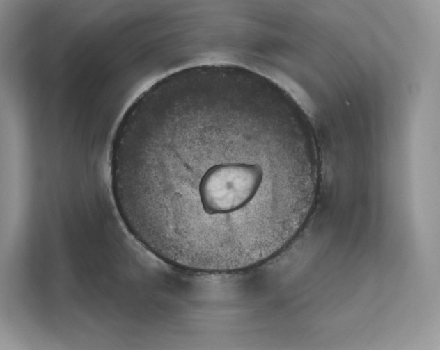 X0000111590950200907301423