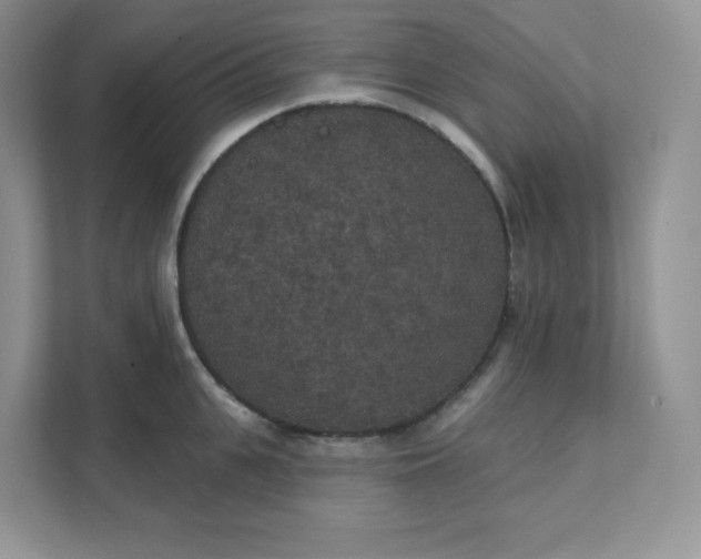 X0000111590951200907301423