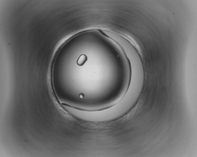 X0000111590952200907301423