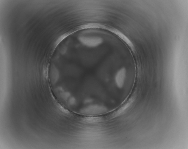 X0000111590953200907301423