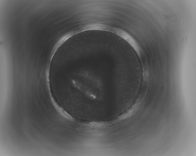 X0000111590954200907301423