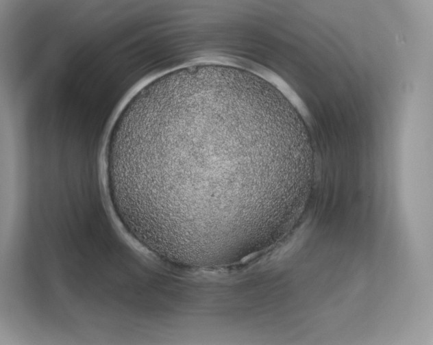 X0000111590955200907301423