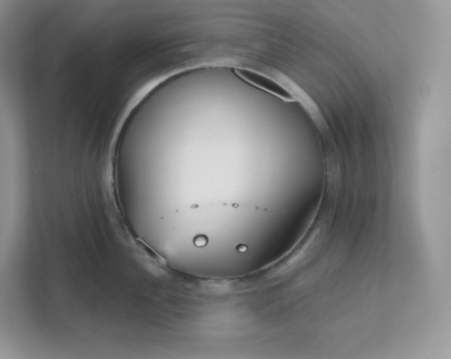 X0000111590956200907301423