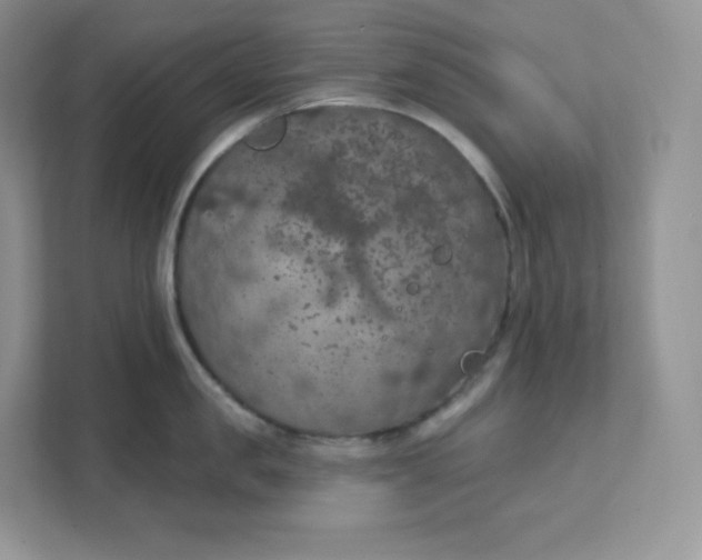 X0000111590957200907301423