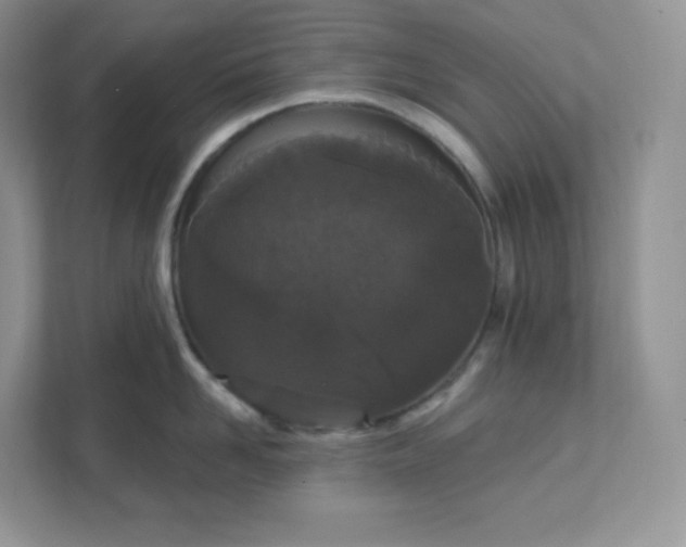 X0000111590958200907301423