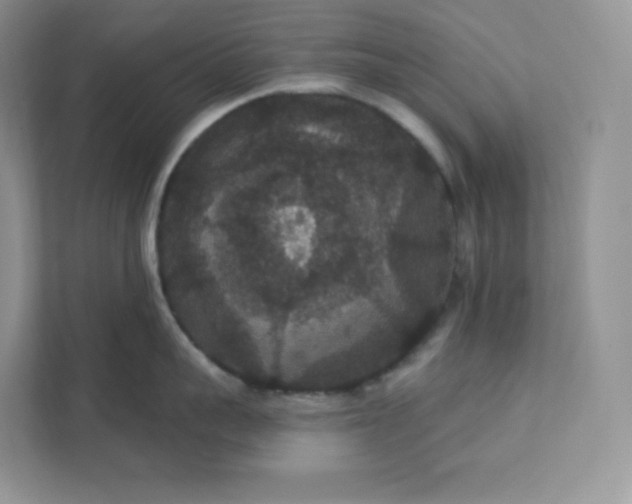 X0000111590959200907301423