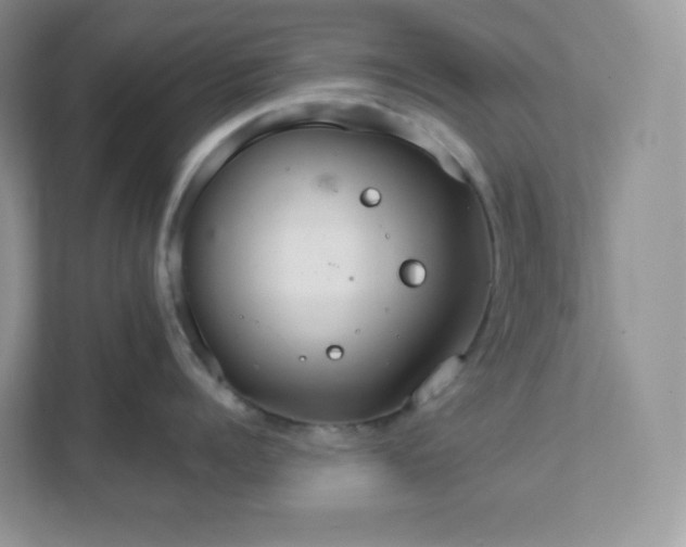 X0000111590960200907301423