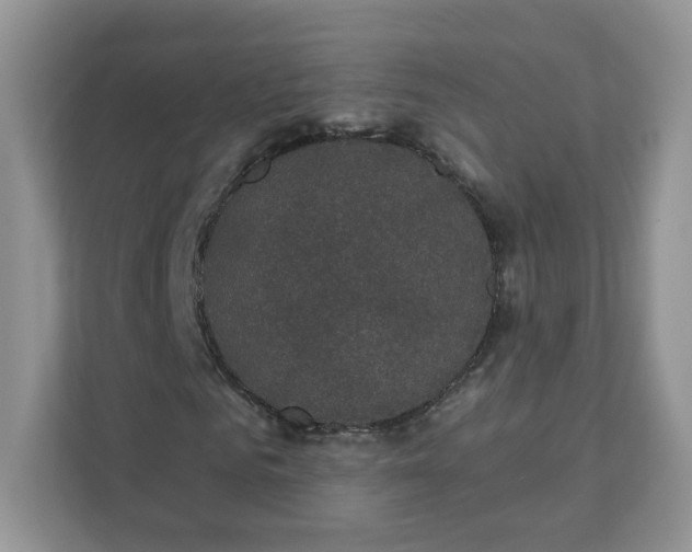 X0000111590961200907301423