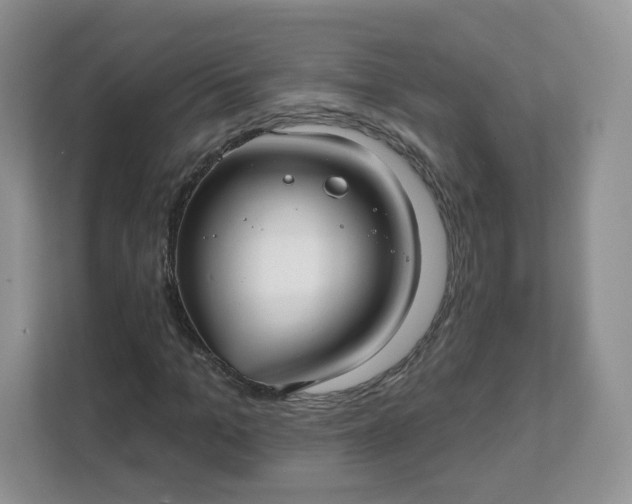 X0000111590965200907301423