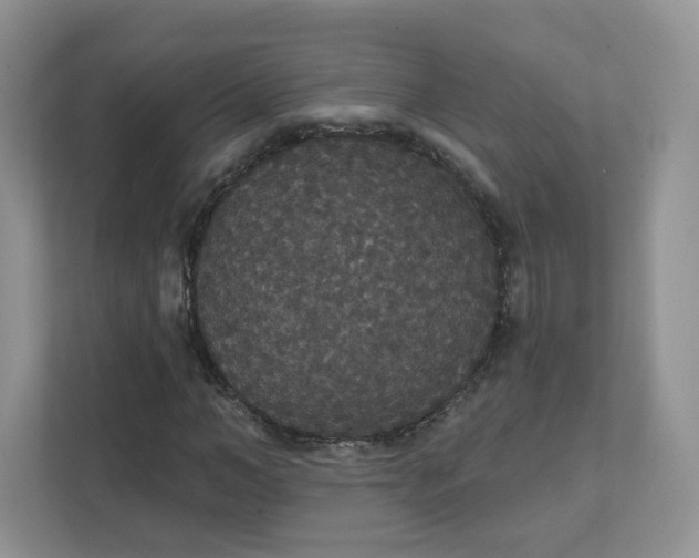 X0000111590966200907301423