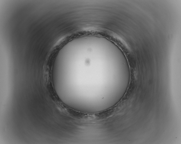 X0000111590968200907301423