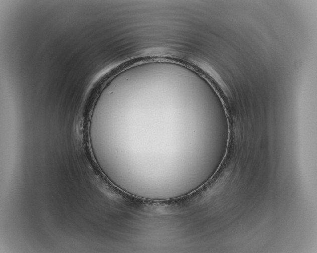 X0000111590971200907301423