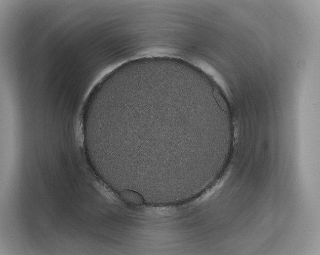 X0000111590973200907301423