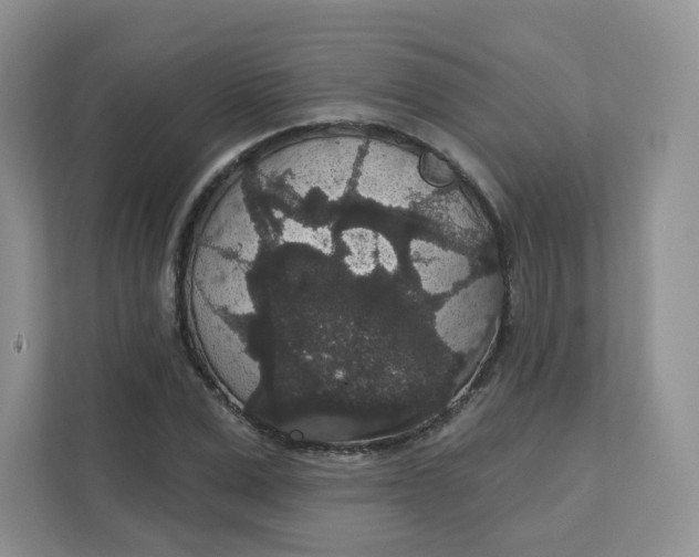 X0000111590975200907301423