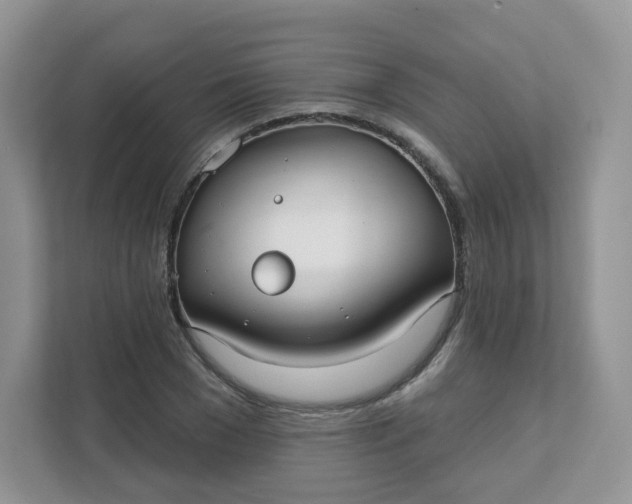 X0000111590977200907301423