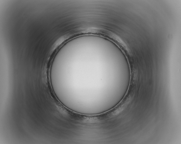 X0000111590978200907301423