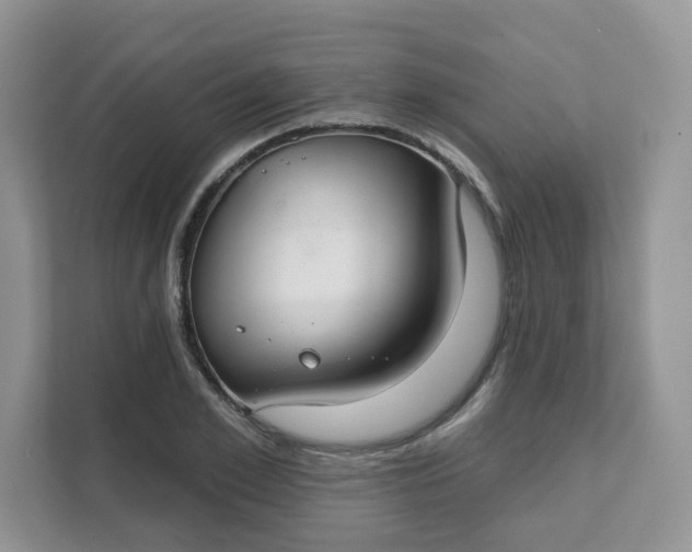 X0000111590981200907301422