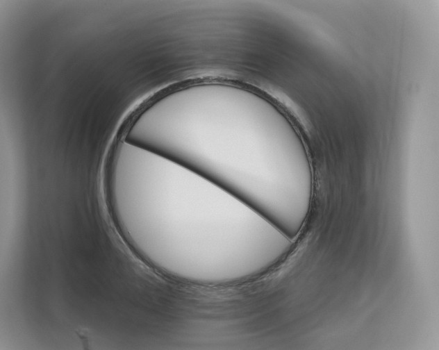 X0000111590983200907301422