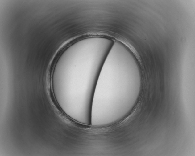 X0000111590984200907301422